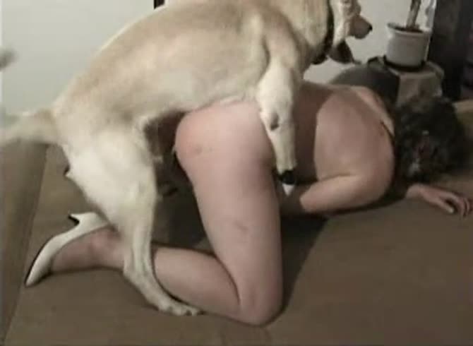 Video :White dog fucking a sexy curvy babe from behind in dog xxx